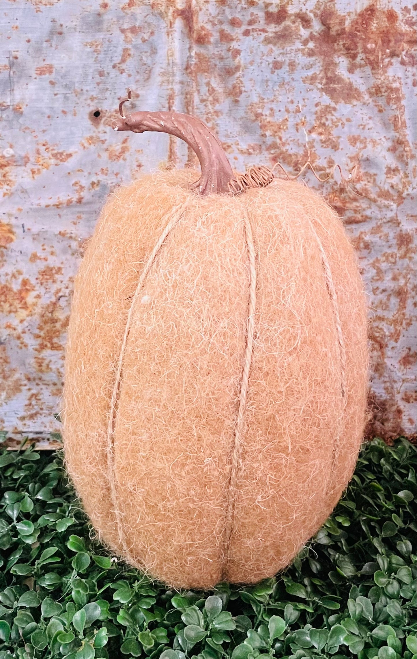 Gourd Pumpkins