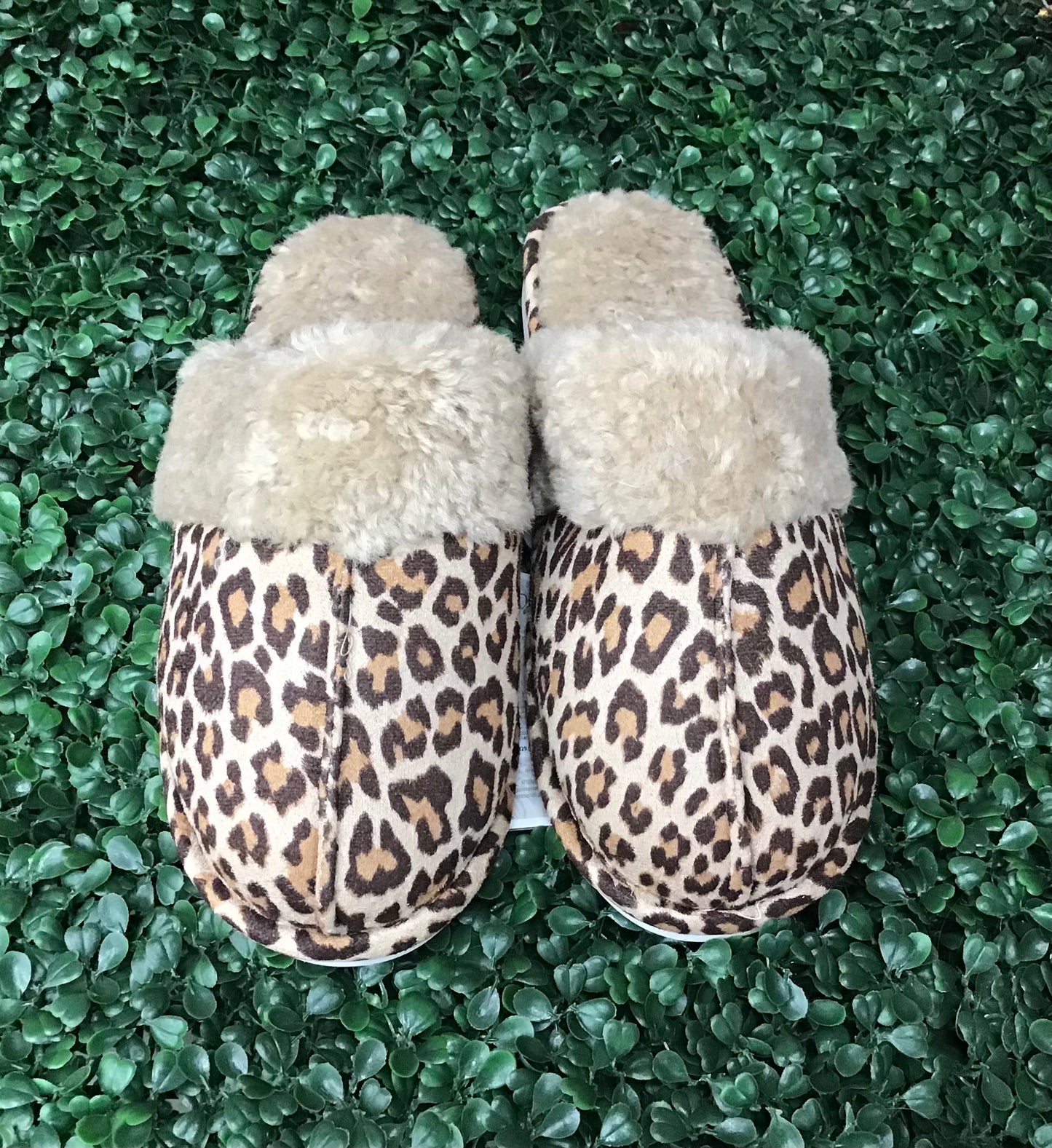 Leopard Slippers