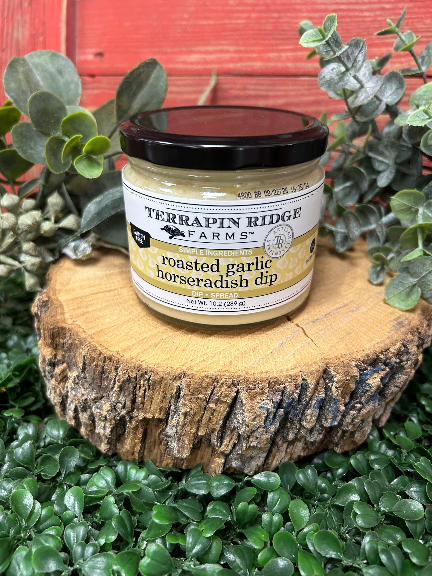Roasted Garlic Horseradish Dip