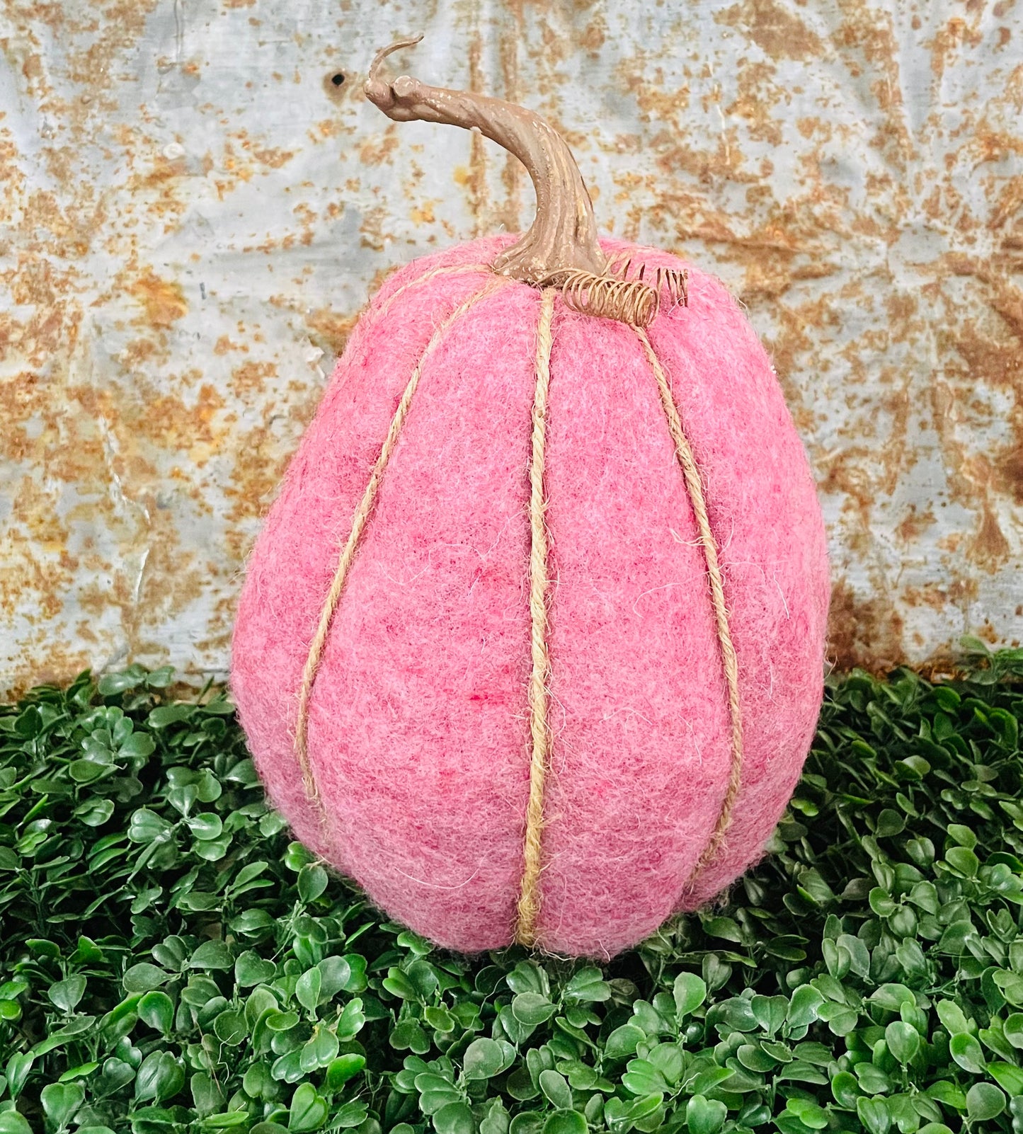 Gourd Pumpkins