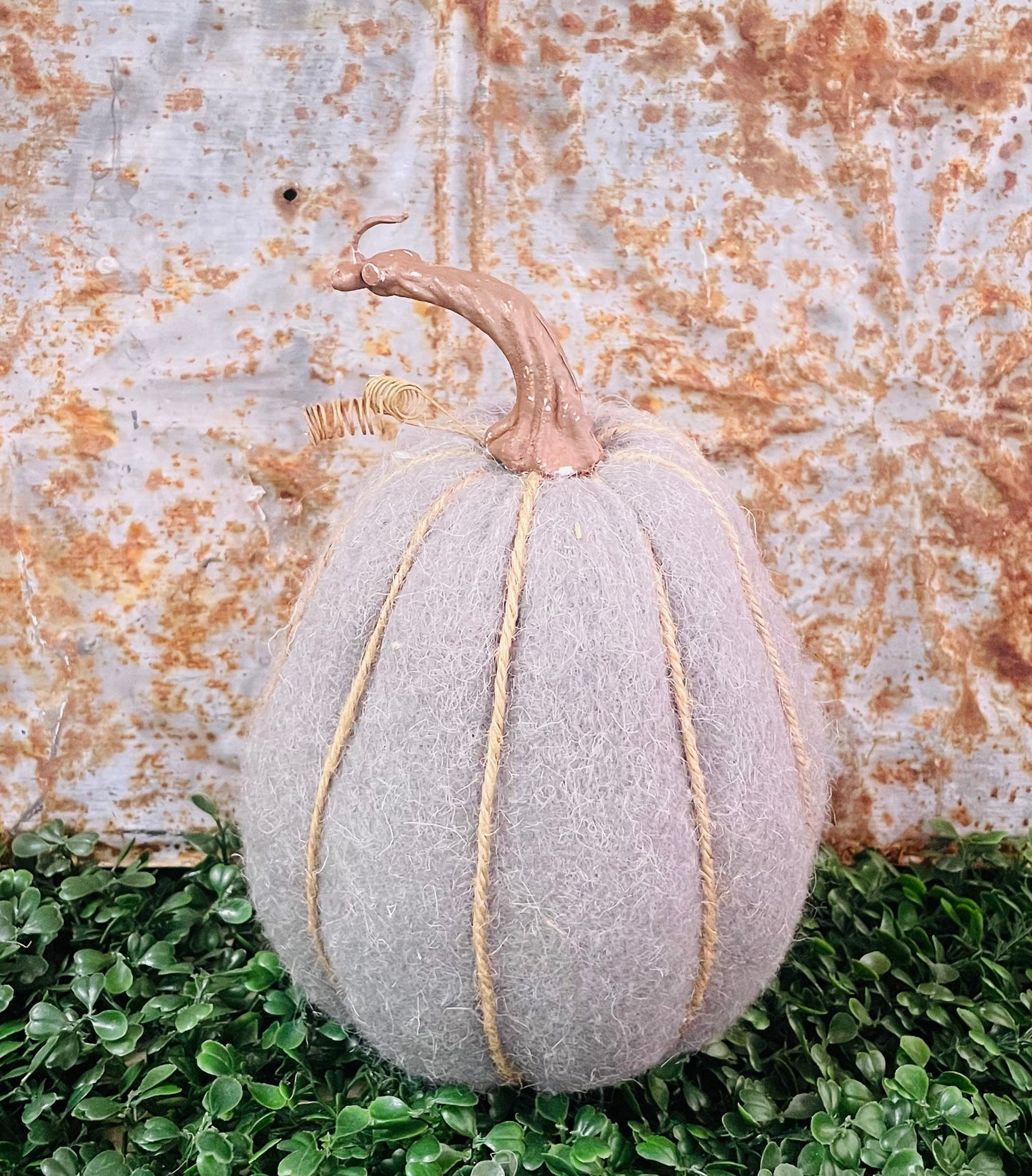 Gourd Pumpkins