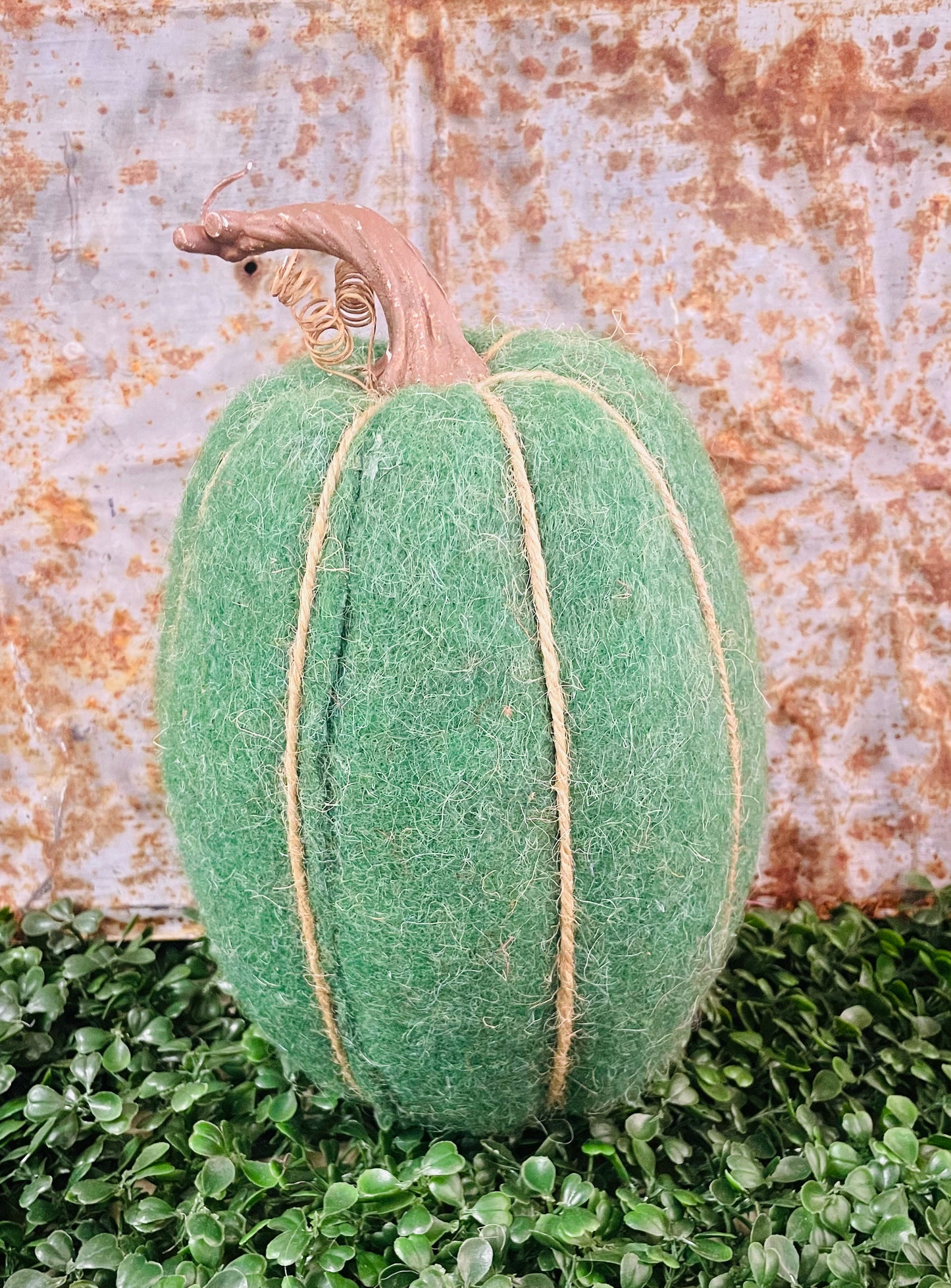 Gourd Pumpkins