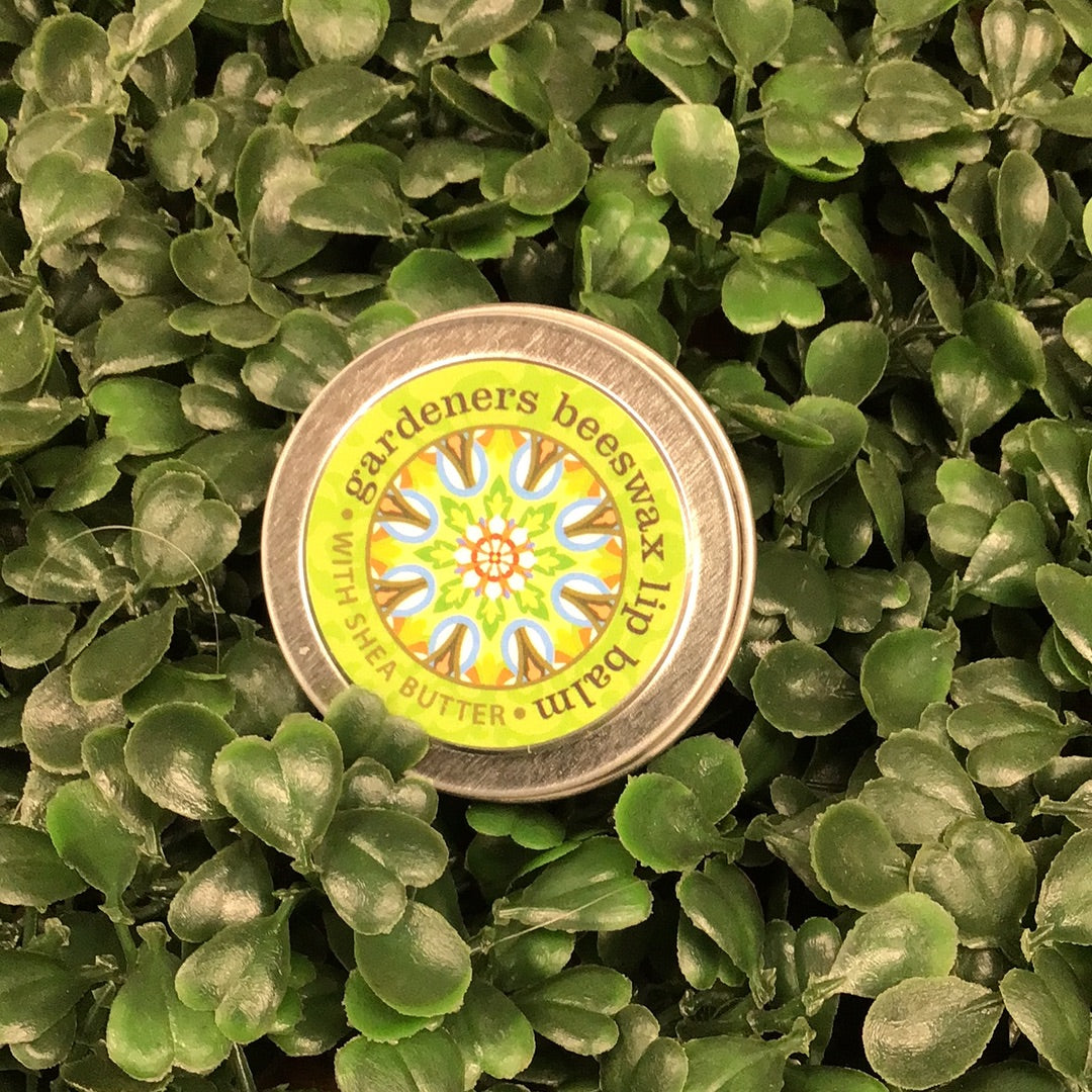 Lip Balm
