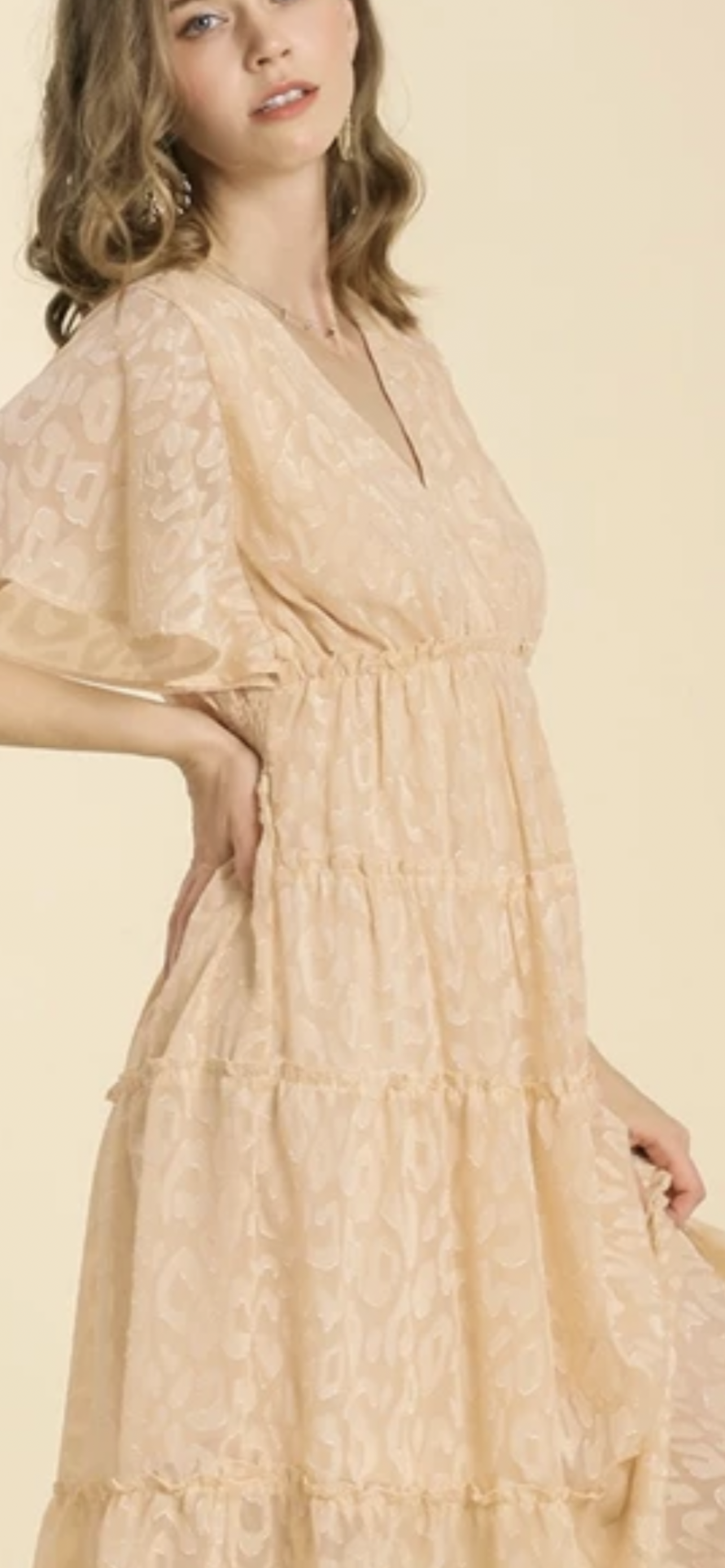 Champagne Leopard Dress