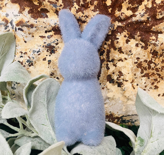Small Blue Bunny