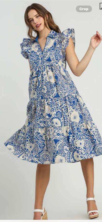 Floral Paisley Blue and White Dress
