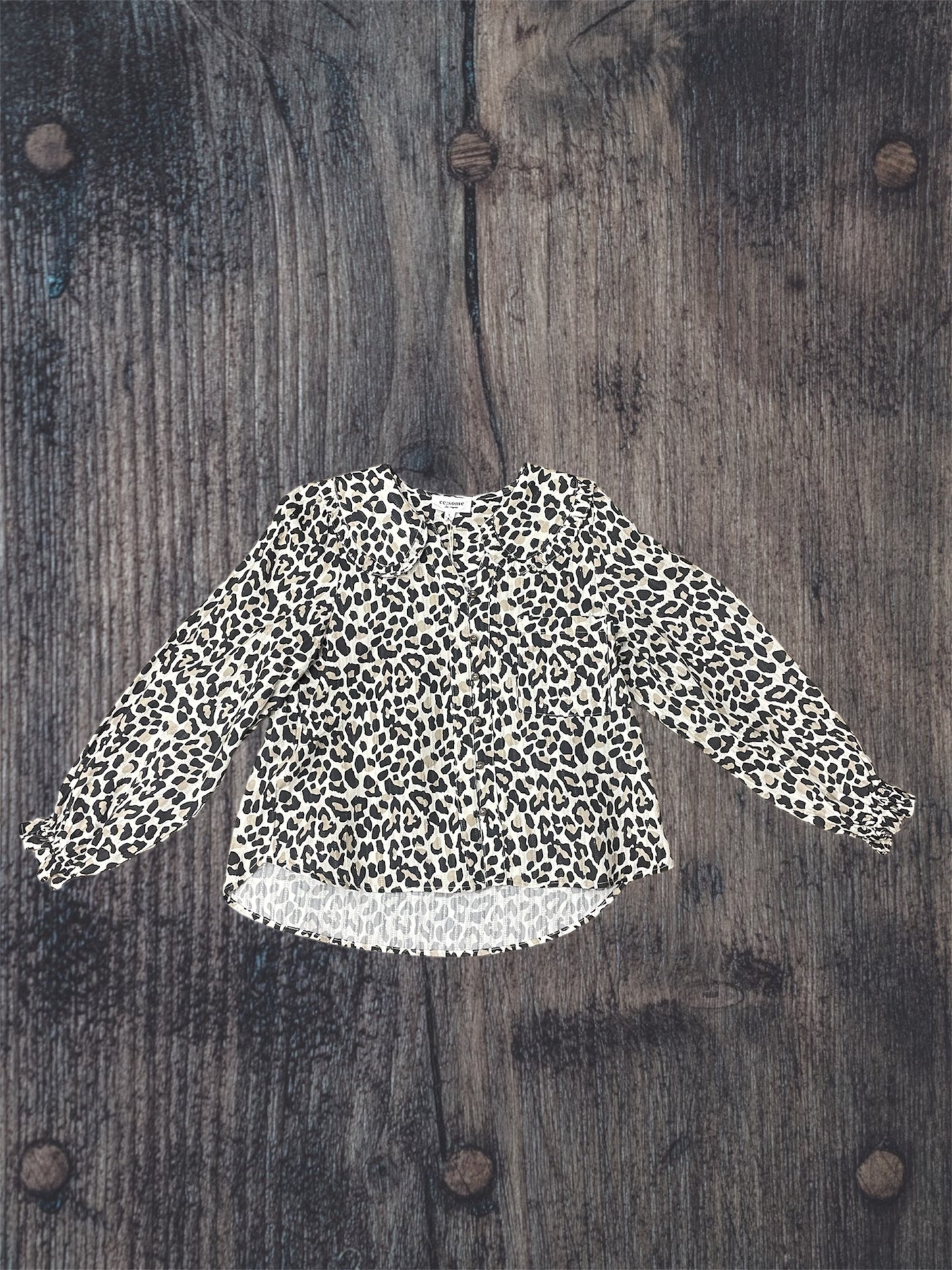 Cheetah V-Neck Blouse