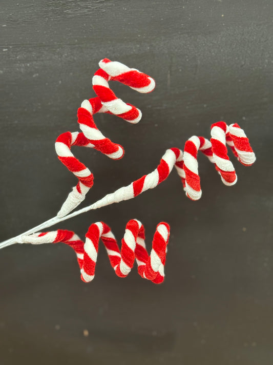 Whimsical Candy Stripe Stem