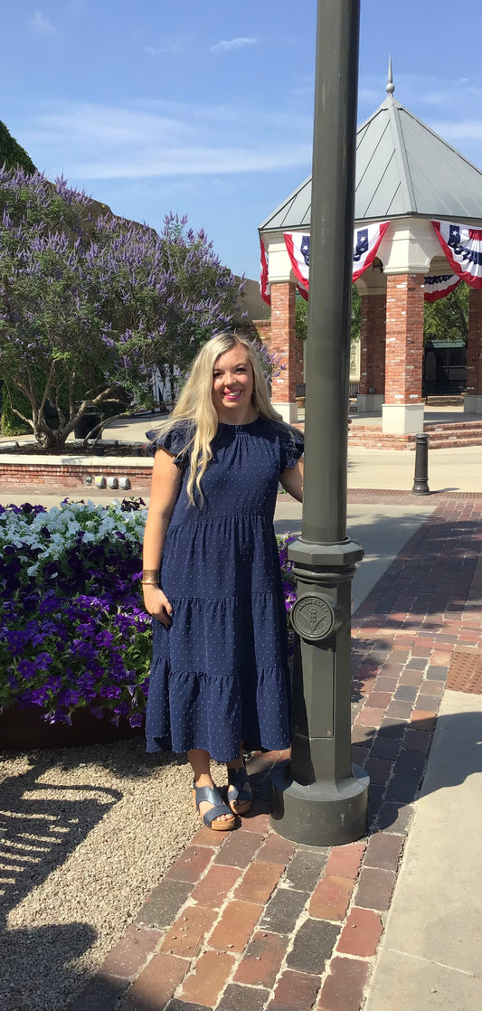 Navy Swiss Dot Dress